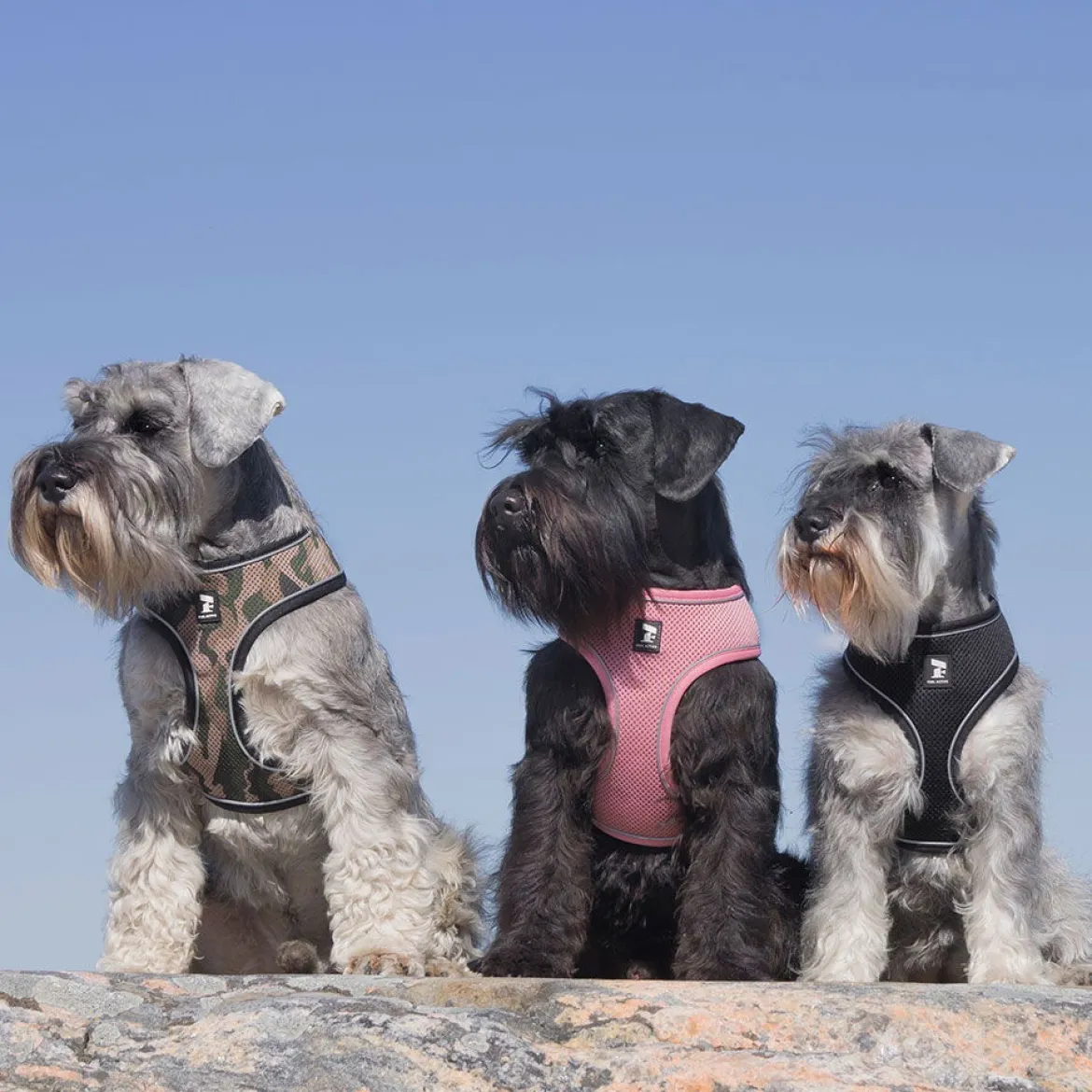 Feel Active Soft Hundsele Rosa