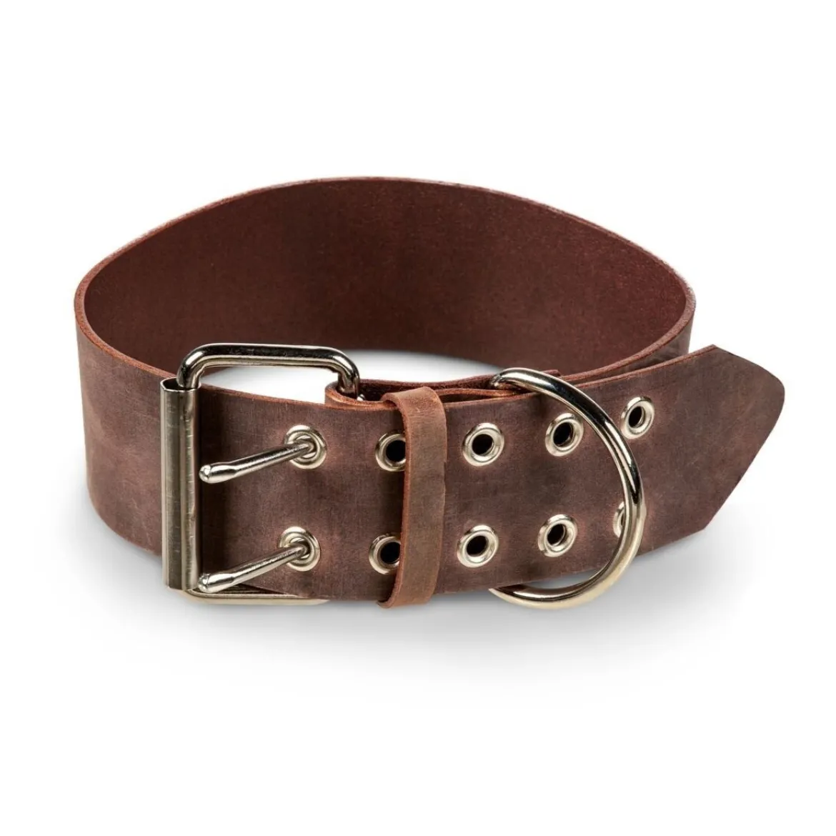 Feel Brett Hundhalsband i Läder Brun