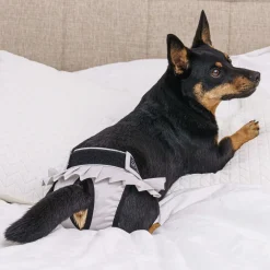 FinNero Ballerina Tikskydd Grå