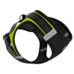 FinNero Hund/Kattsele med Reflexdetaljer Svart/Gul
