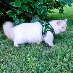 FinNero Hund/Kattsele med Reflexdetaljer Svart/Gul