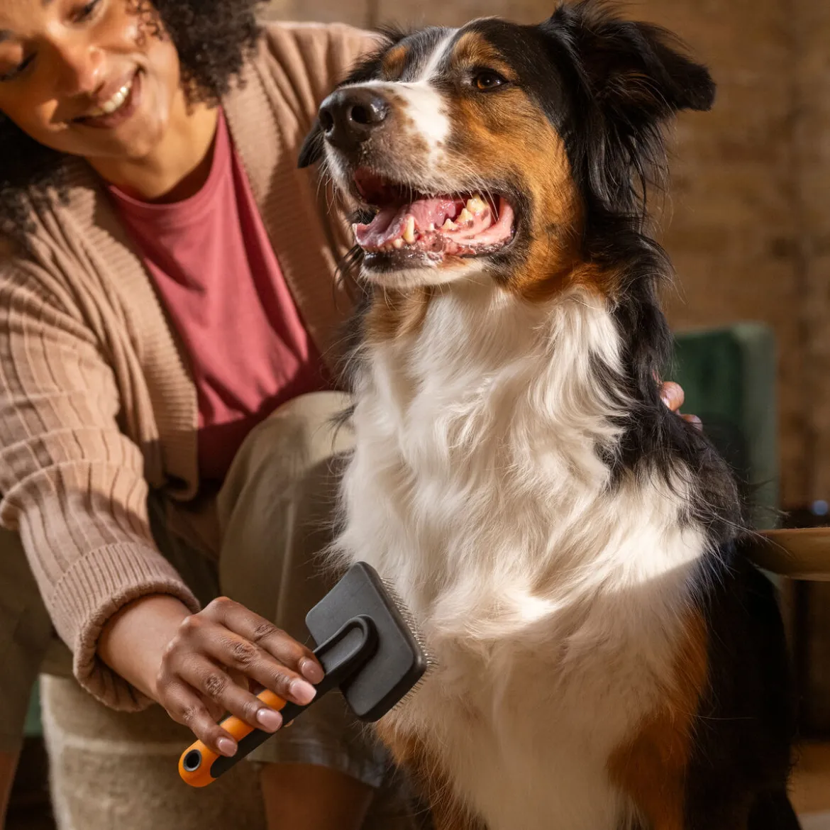 Fiskars Karda för Hund & Katt