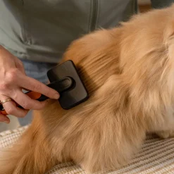 Fiskars Karda för Hund & Katt