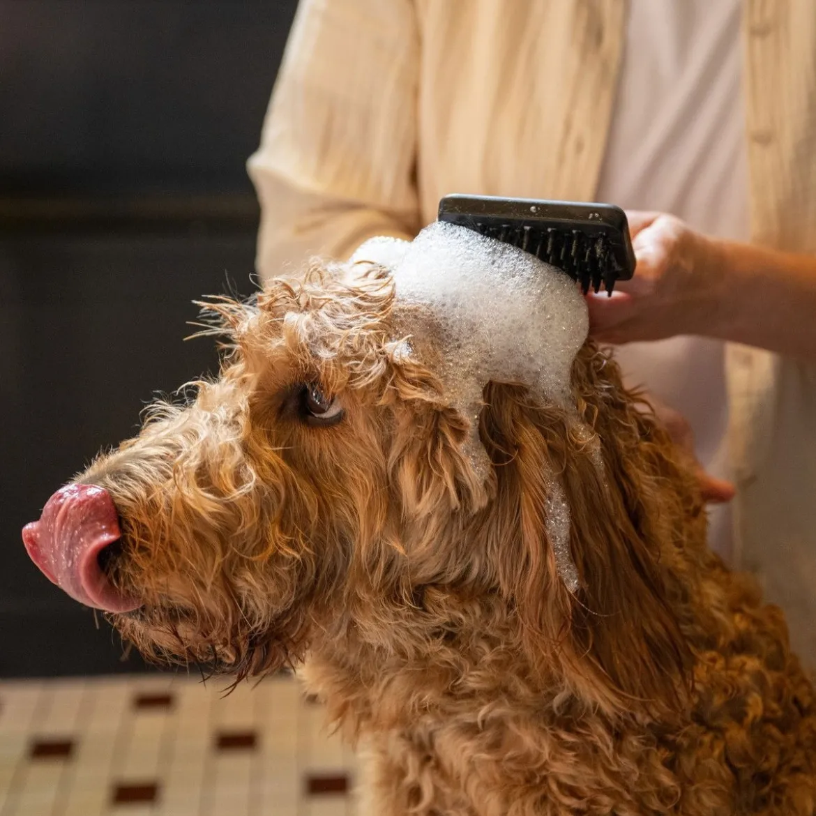 Fiskars Massageborste för Hund & Katt