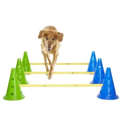 FitPaws K9 Cavaletti Agilityset 3 Hinder & 6 Koner