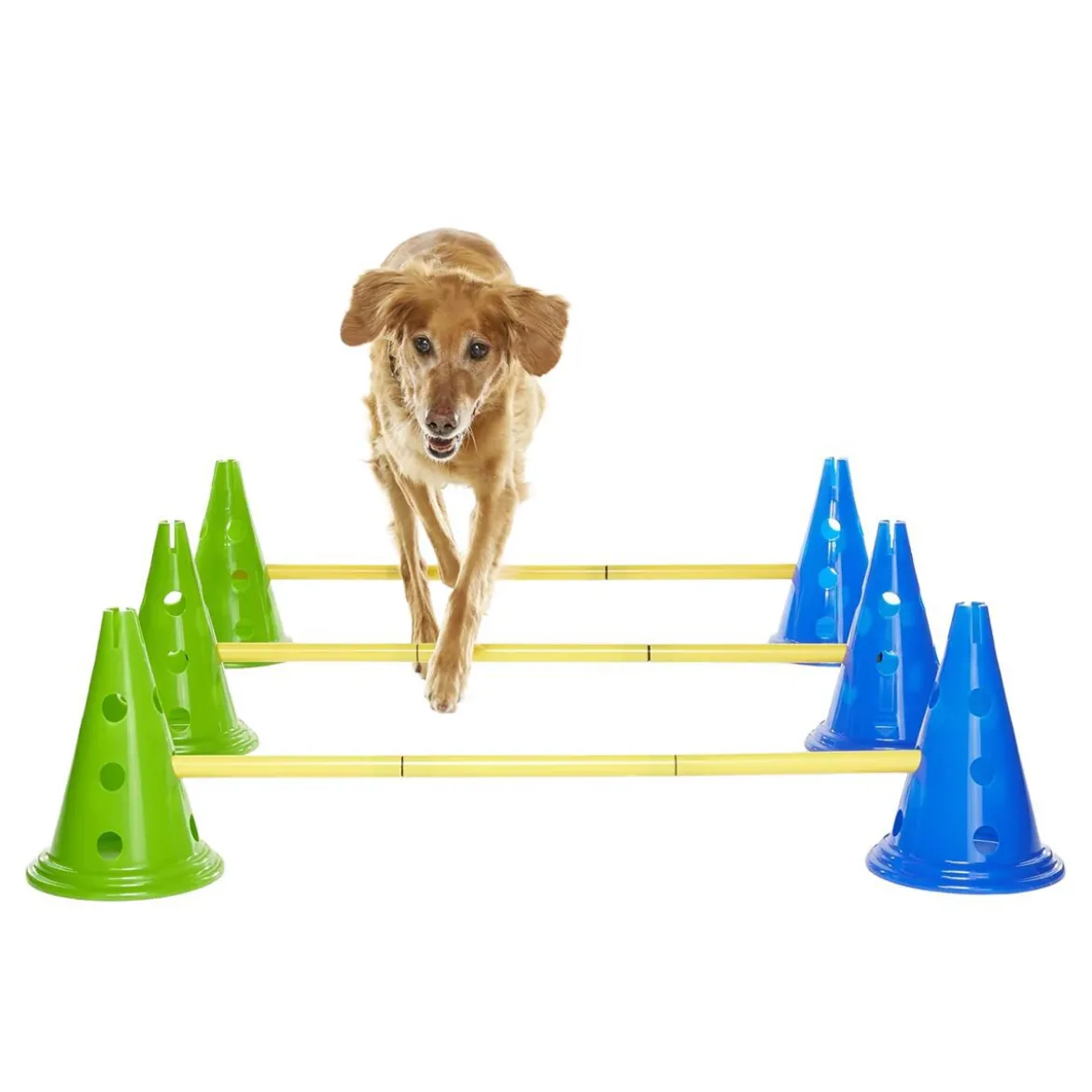 FitPaws K9 Cavaletti Agilityset 3 Hinder & 6 Koner