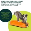FitPaws K9FitBone Balansplatta till Hund