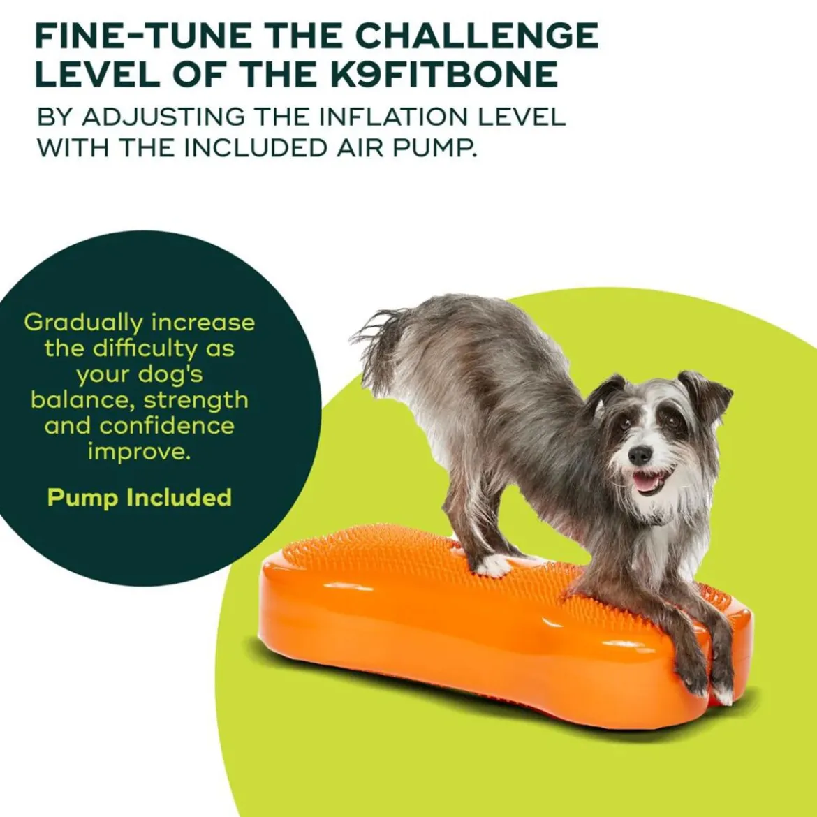 FitPaws K9FitBone Balansplatta till Hund