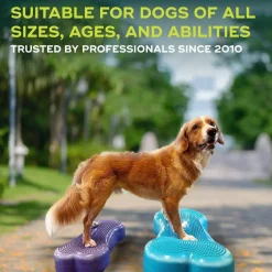 FitPaws K9FitBone Balansplatta till Hund