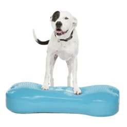 FitPaws K9FitBone Giant Balansplatta till Hund Turkos