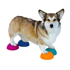 FitPaws Paw Pods Balansplattor till Hund 4-pack