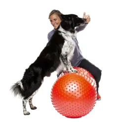 FitPaws Trax Peanut Balansboll till Hund Röd 50 cm