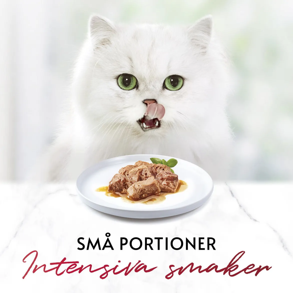 Gourmet Mon Petit Anka/Kalkon/Kyckling 6 x 50 g