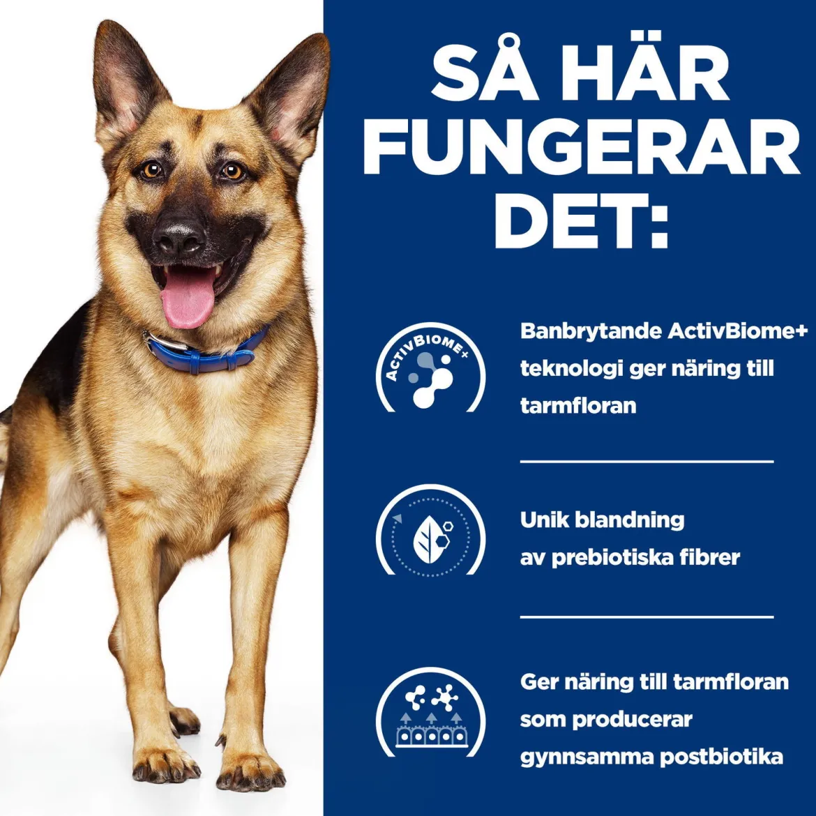 Hill's Prescription Diet Canine Gastrointestinal Biome Digestive/Fibre Care Chicken