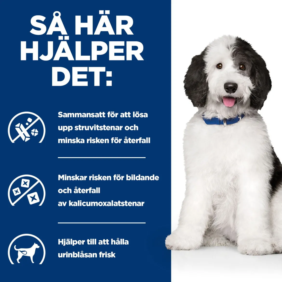 Hill's Prescription Diet Canine c/d Urinary Care Multicare Chicken