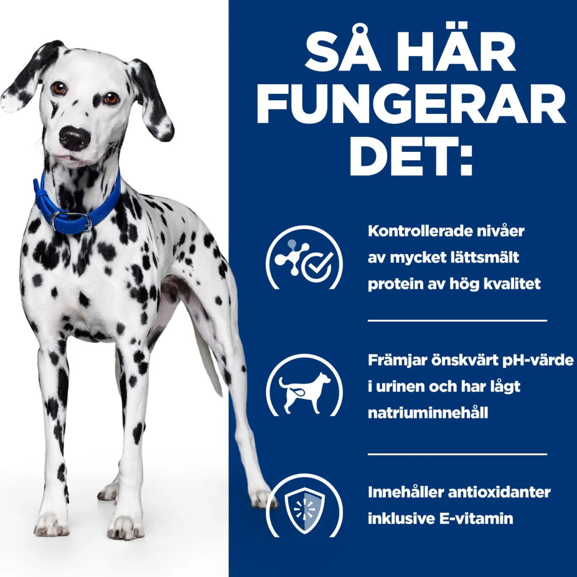 Hill's Prescription Diet Canine u/d Urinary Care Original