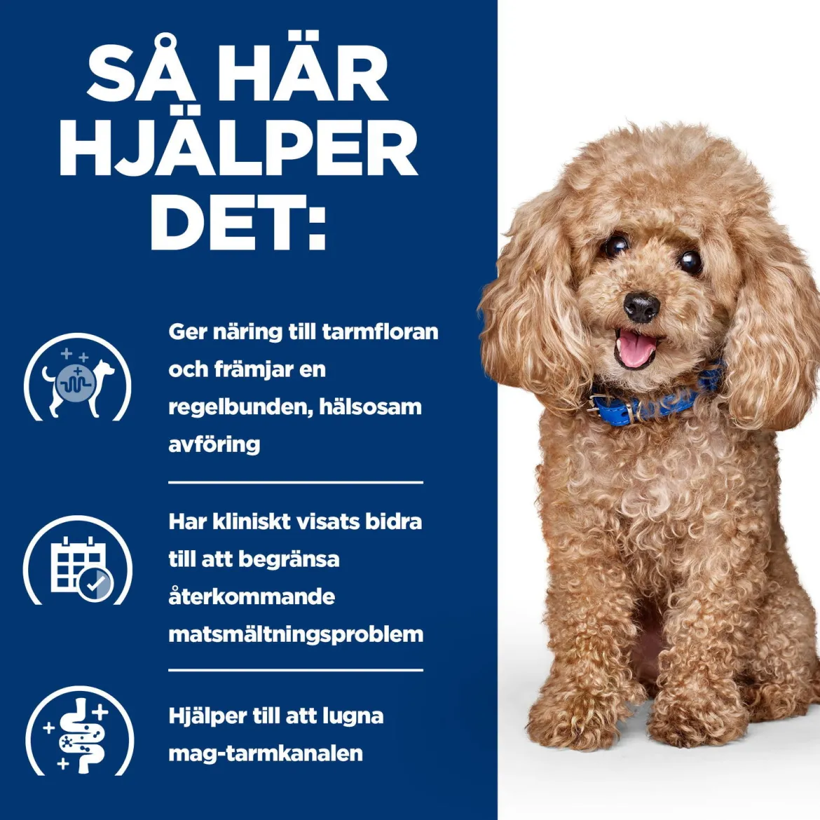Hill's Prescription Diet Canine Gastrointestinal Biome Mini Digestive/Fibre CareChicken