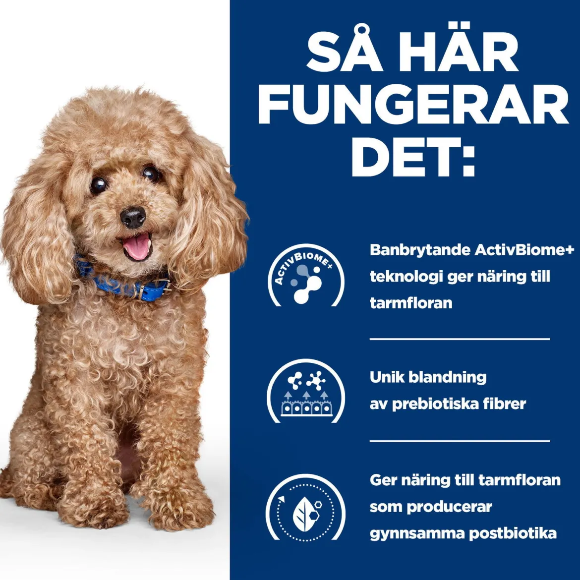 Hill's Prescription Diet Canine Gastrointestinal Biome Mini Digestive/Fibre CareChicken