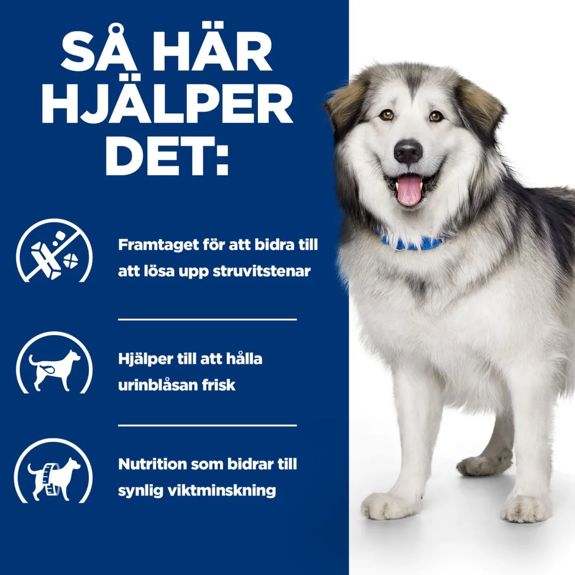 Hill's Prescription Diet Canine c/d Urinary + Metabolic Multicare Weight Original 12 kg