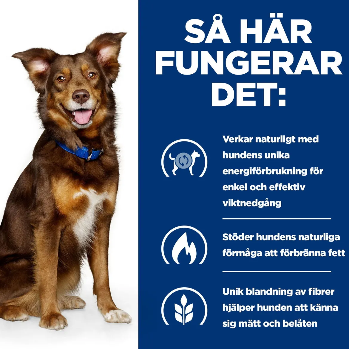Hill's Prescription Diet Canine Metabolic Weight Loss & Maintenace Lamb & Rice