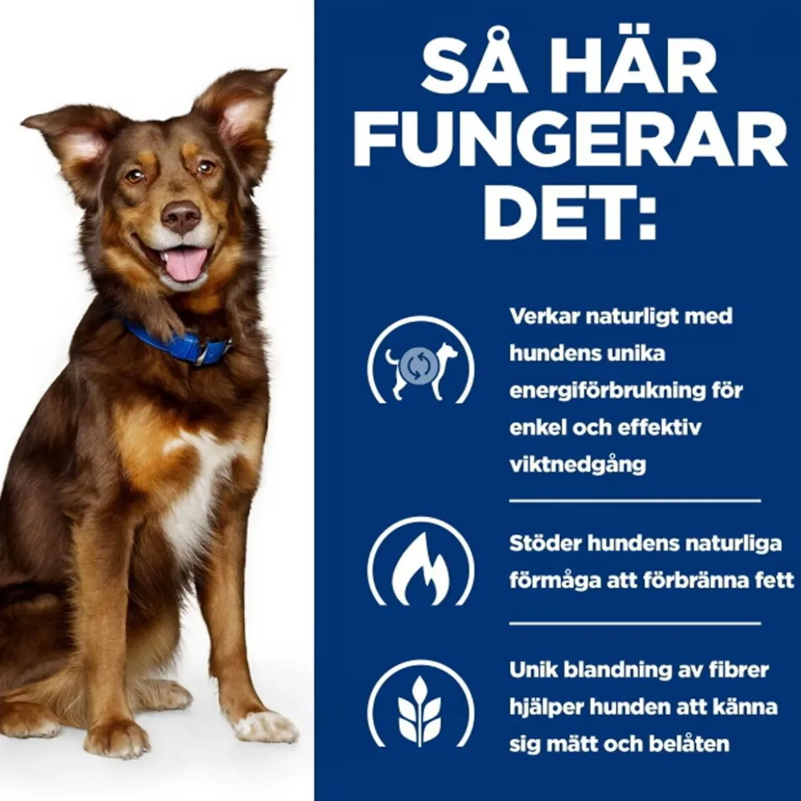 Hill's Prescription Diet Canine Metabolic Weight Loss & Maintenace Chicken 2x12 kg