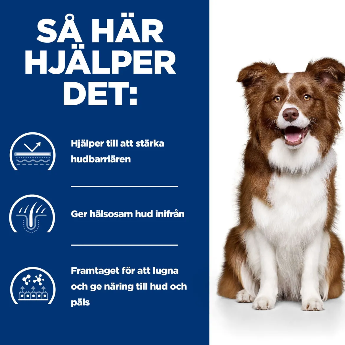 Hill's Prescription Diet Canine Derm Defense Environmental Sensitivites Chicken