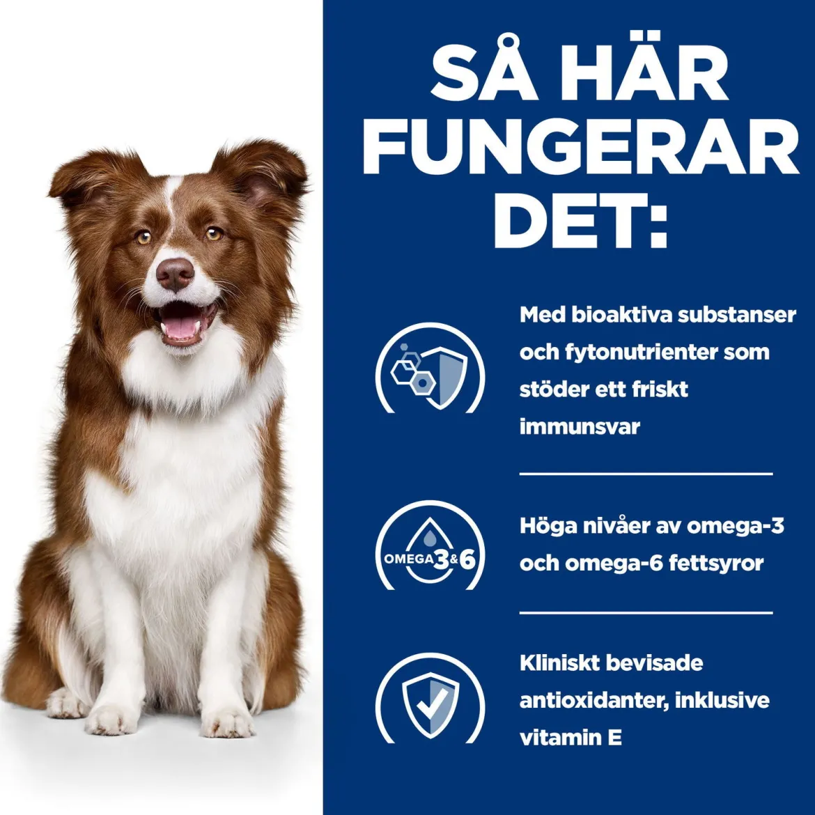 Hill's Prescription Diet Canine Derm Defense Environmental Sensitivites Chicken