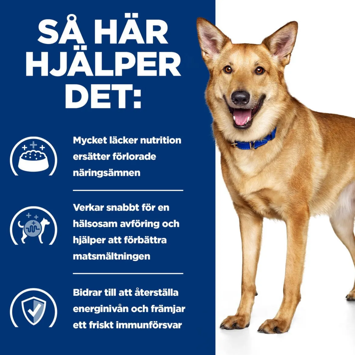 Hill's Prescription Diet Canine i/d Digestive Care