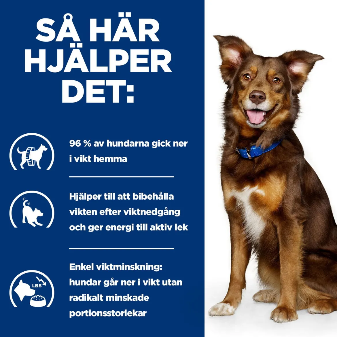 Hill's Prescription Diet Canine Metabolic Weight Loss & Maintenace Chicken
