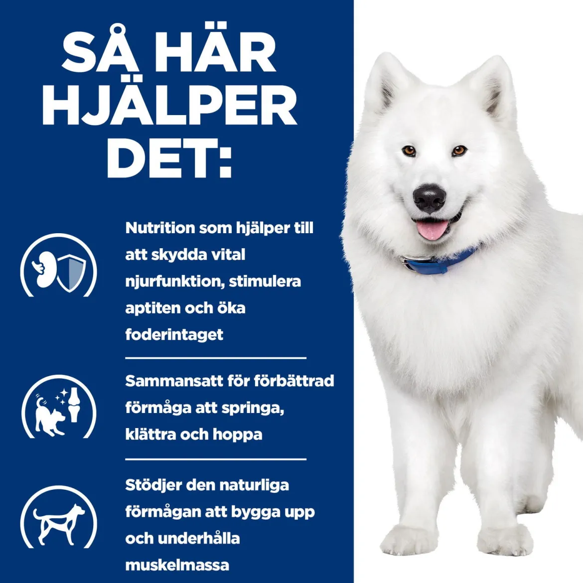 Hill's Prescription Diet Canine k/d + Mobility Kidney + Joint Care Original