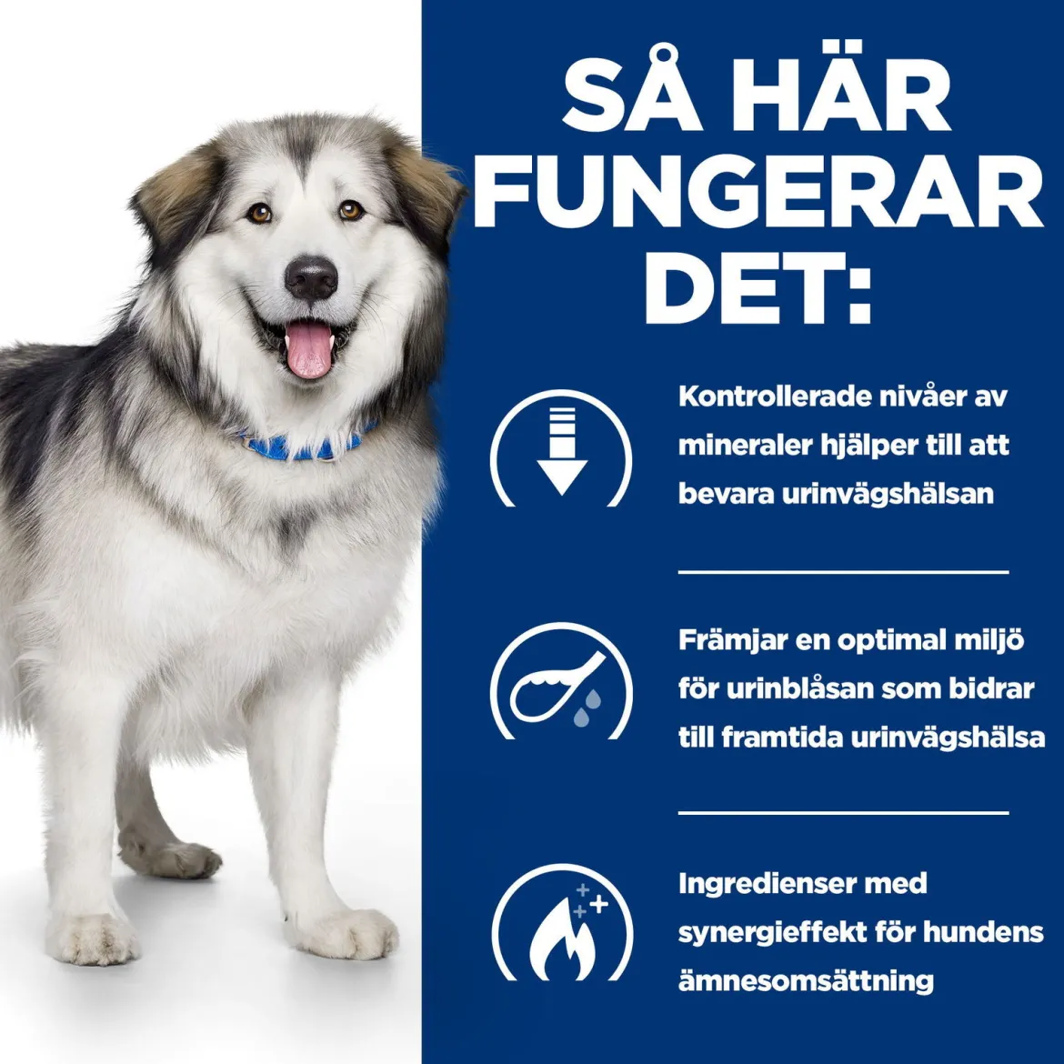 Hill's Prescription Diet Canine c/d Urinary + Metabolic Original