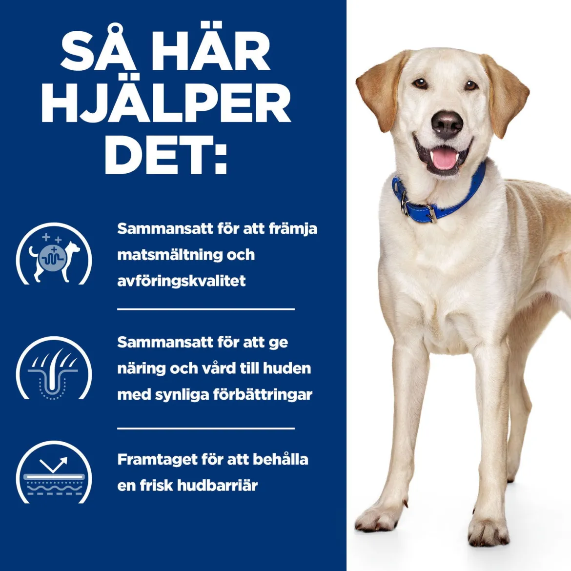 Hill's Prescription Diet Canine d/d Food Sensitivities Duck & Rice