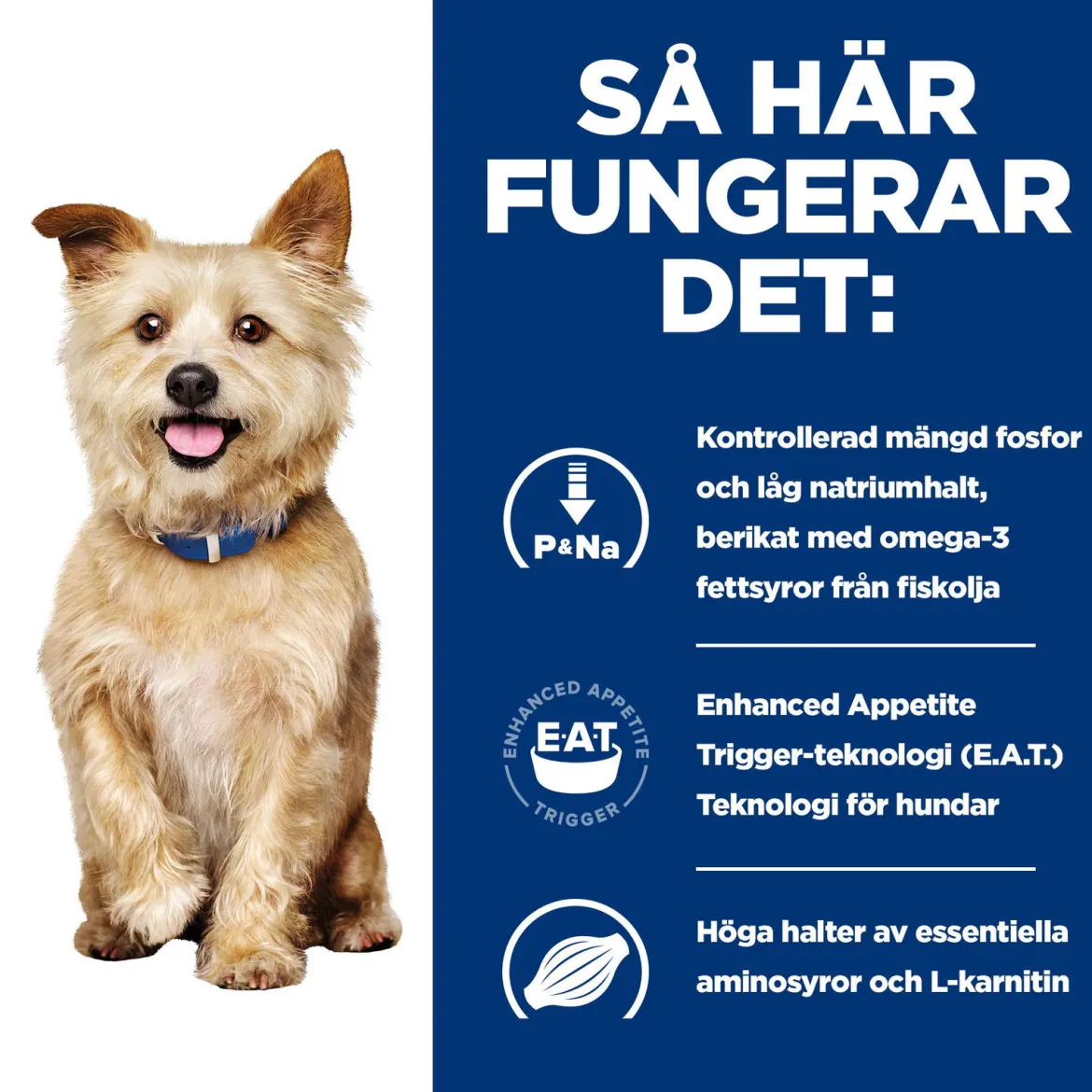 Hill's Prescription Diet Canine k/d Kidney Care Original