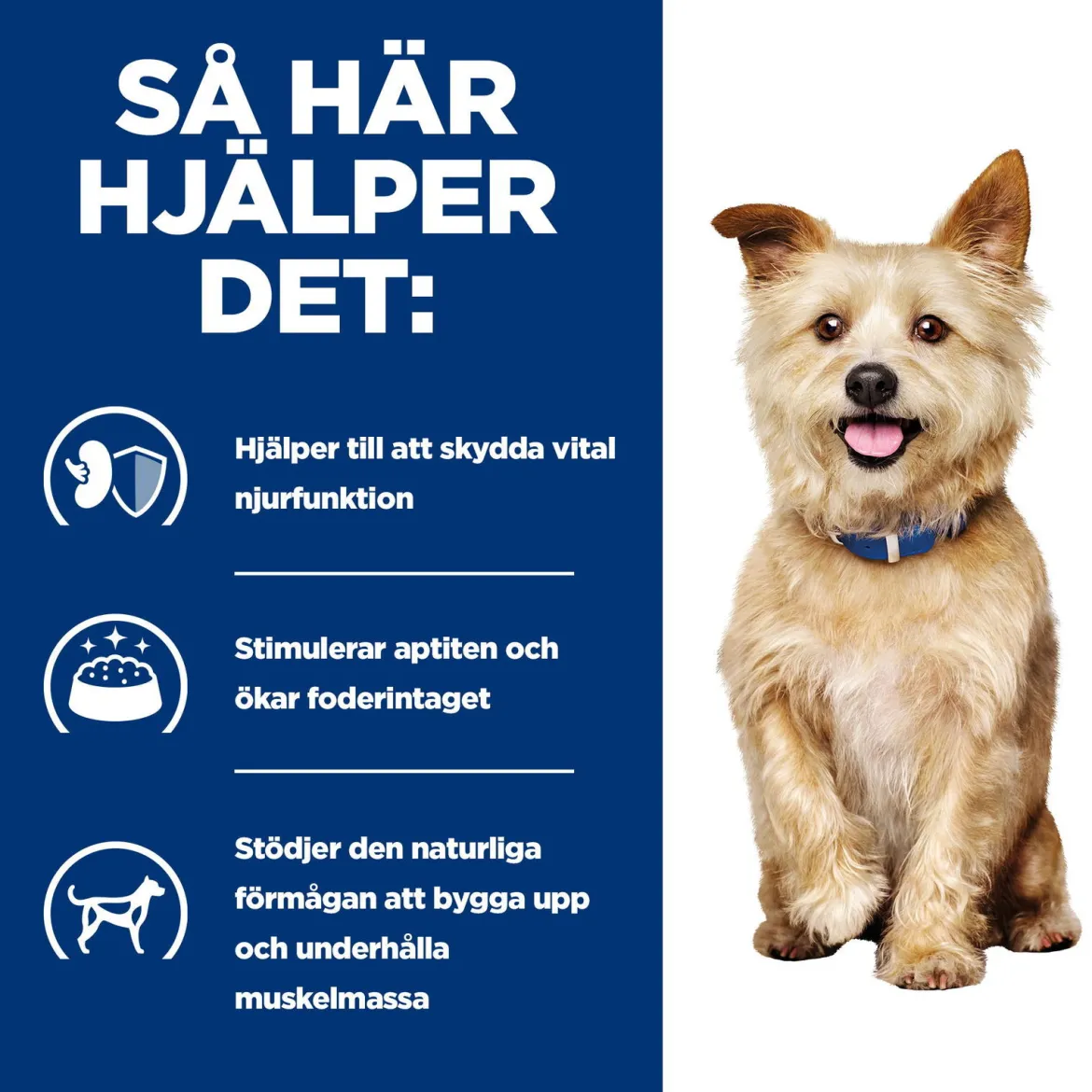 Hill's Prescription Diet Canine k/d Kidney Care Original