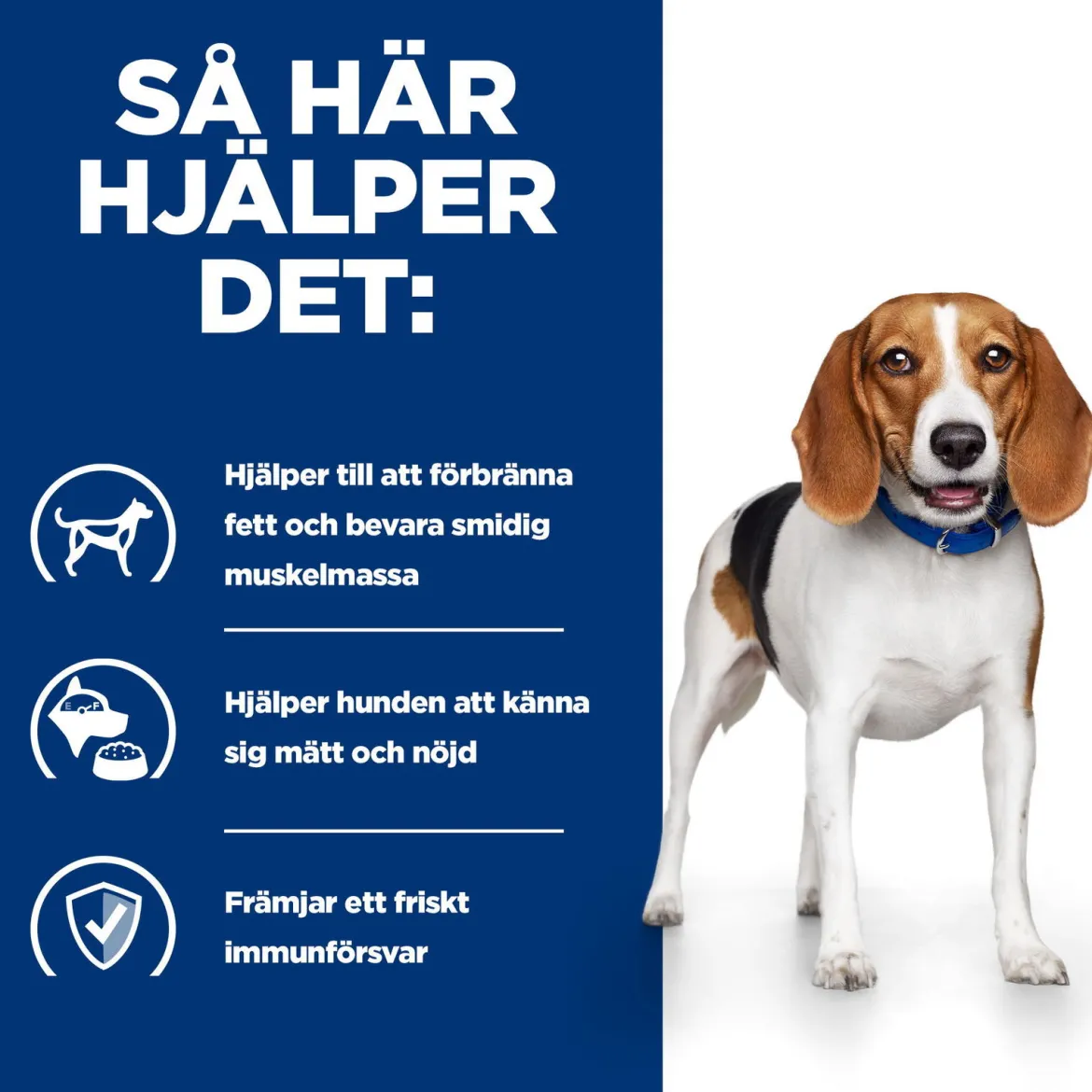 Hill's Prescription Diet Canine r/d Weight Loss Chicken