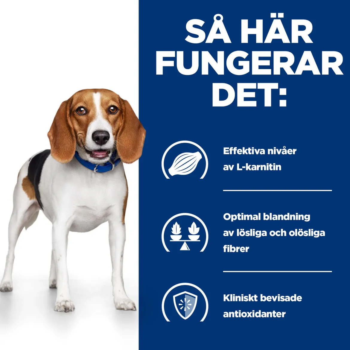 Hill's Prescription Diet Canine r/d Weight Loss Chicken