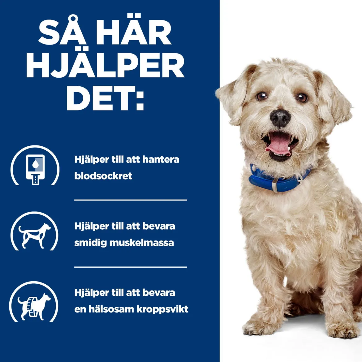 Hill's Prescription Diet Canine w/d Diabetes Care Chicken