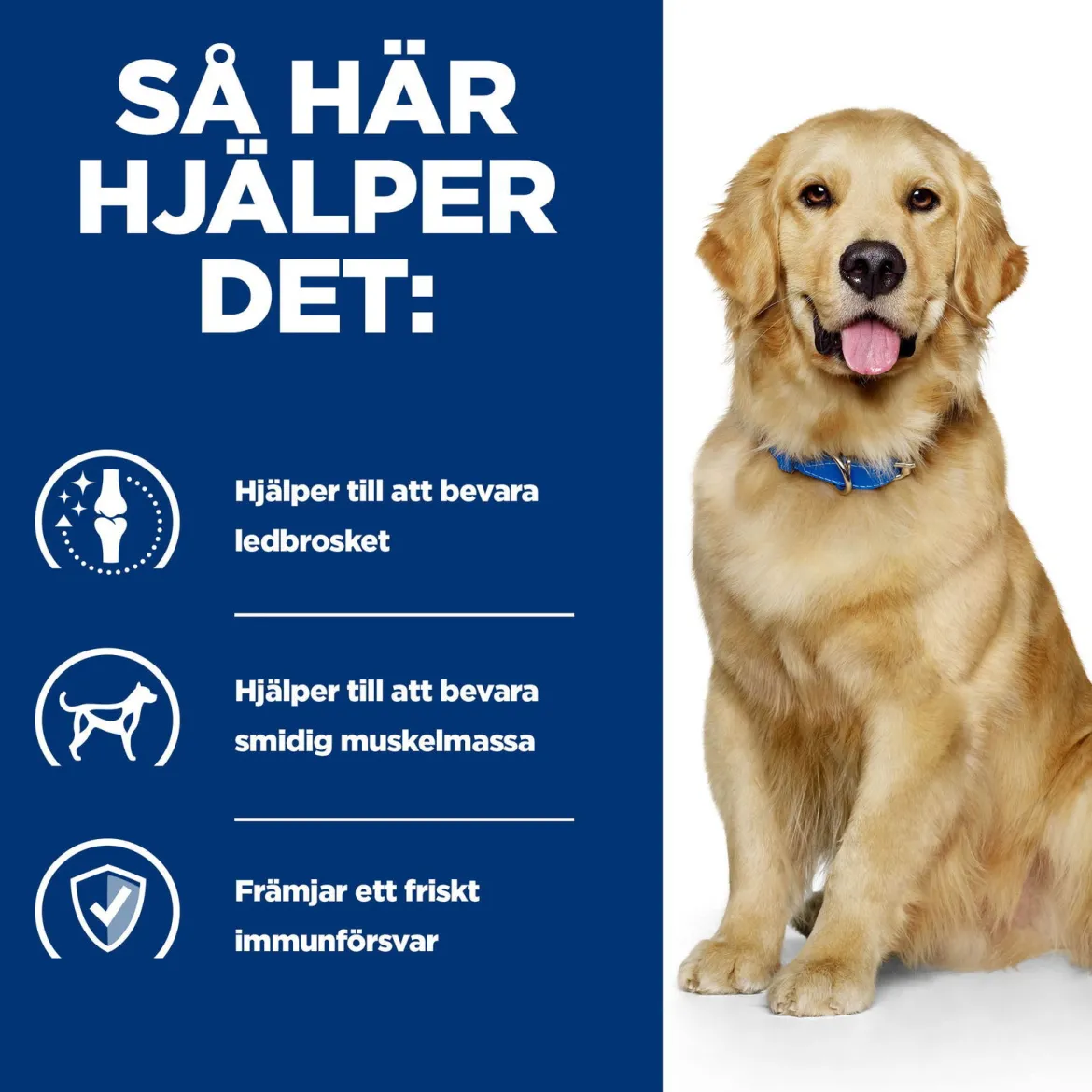 Hill's Prescription Diet Canine j/d Mobility 370 g