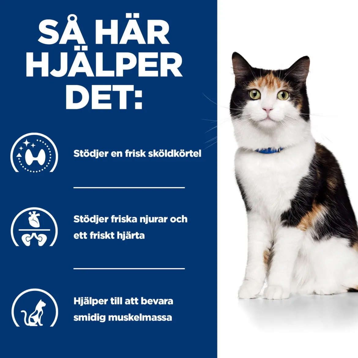 Hill's Prescription Diet Feline y/d Thyroid Care Original