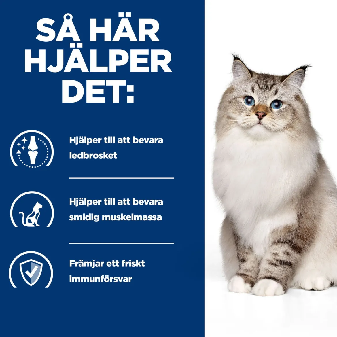Hill's Prescription Diet Feline j/d Mobility Chicken