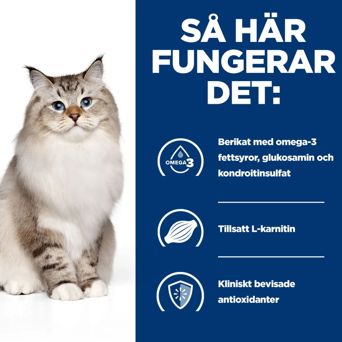 Hill's Prescription Diet Feline j/d Mobility Chicken