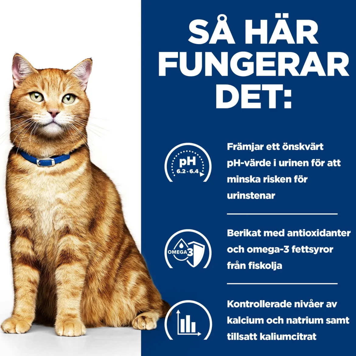 Hill's Prescription Diet Feline c/d Urinary Care Multicare Chicken