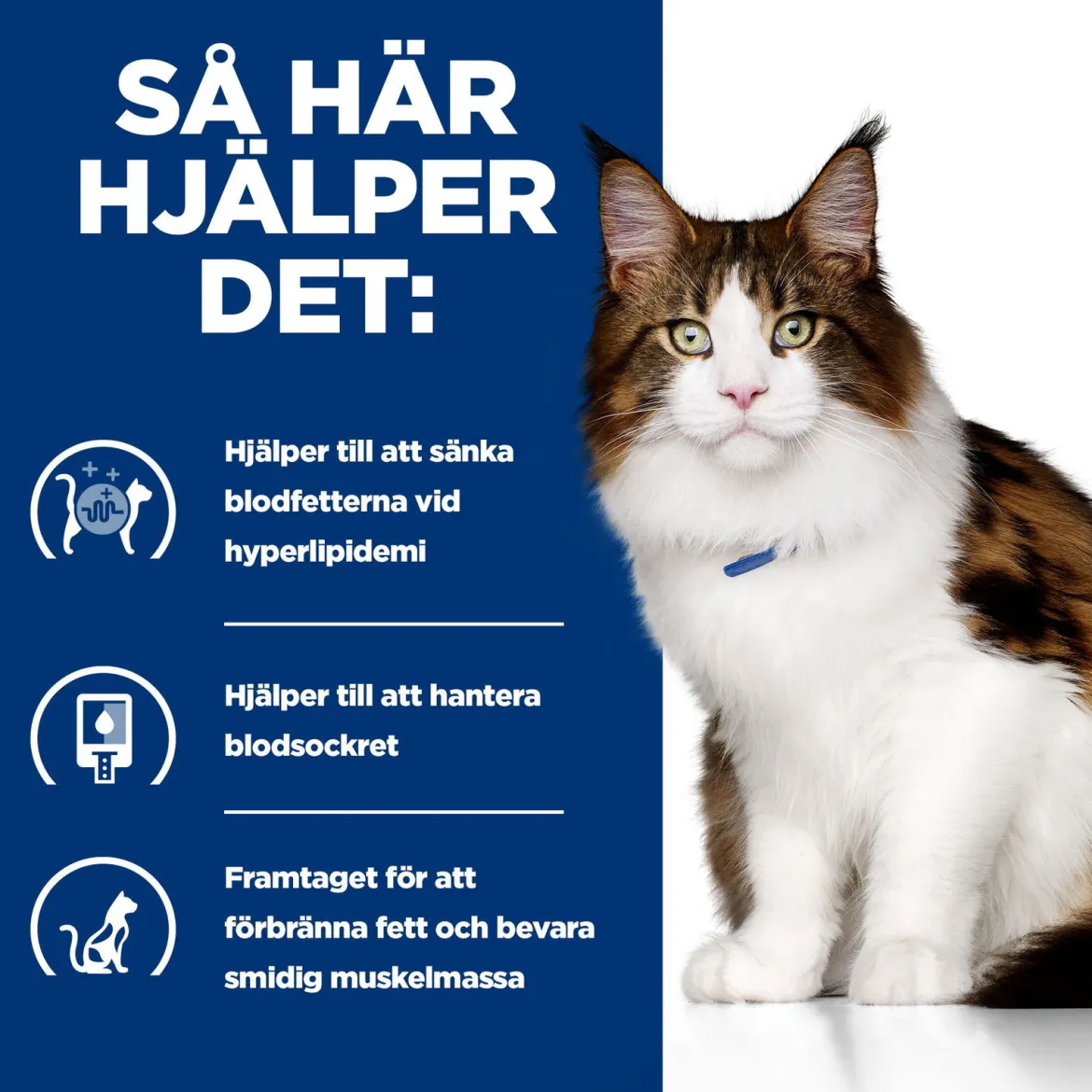 Hill's Prescription Diet Feline w/d Multi Benefit Chicken