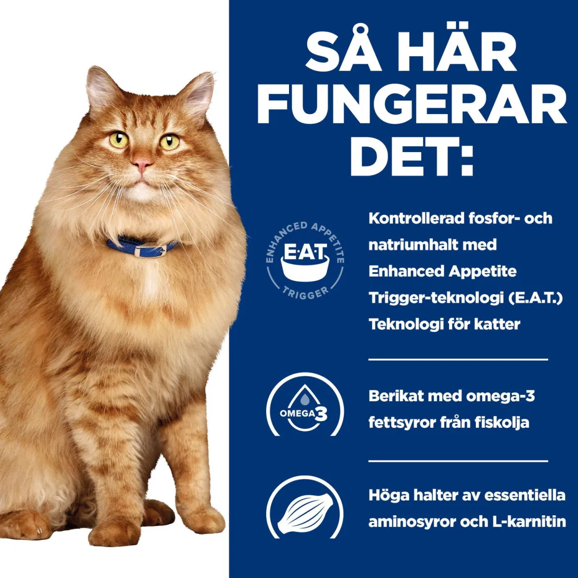 Hill's Prescription Diet Feline k/d j/d Kidney + Mobility Chicken 12x85 g