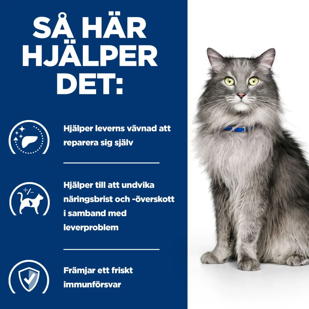Hill's Prescription Diet Feline l/d Liver Care Chicken 1,5 kg