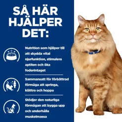 Hill's Prescription Diet Feline k/d j/d Kidney + Mobility Chicken