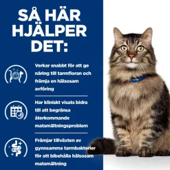 Hill's Prescription Diet Feline Gastro Biome Chicken