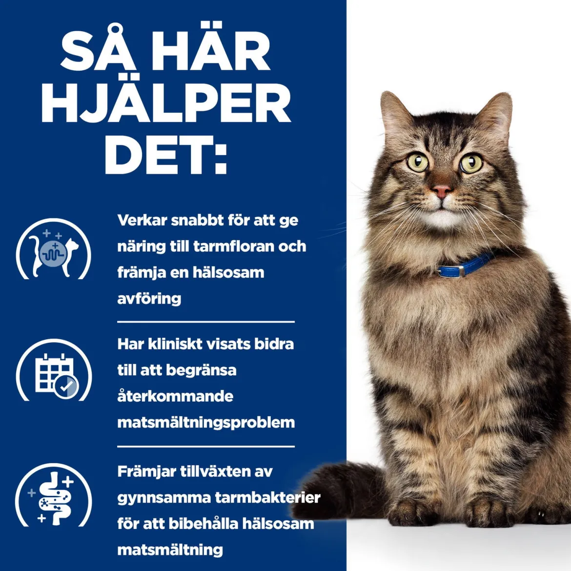 Hill's Prescription Diet Feline Gastro Biome Chicken
