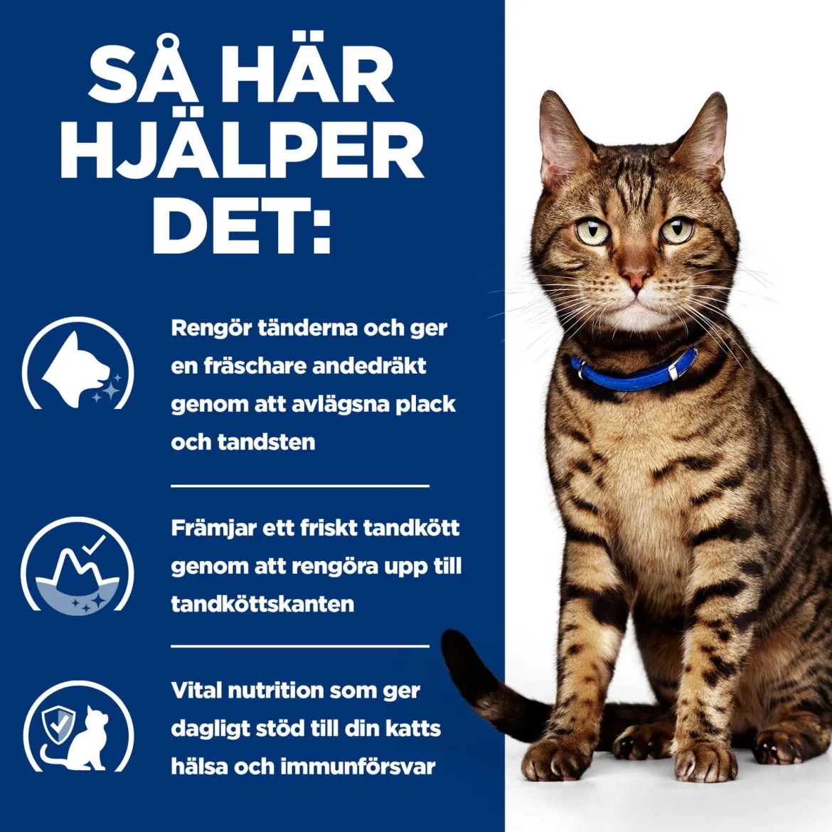 Hill's Prescription Diet Feline t/d Dental Care Chicken