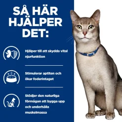 Hill's Prescription Diet Feline k/d Kidney Care Beef 12x85 g